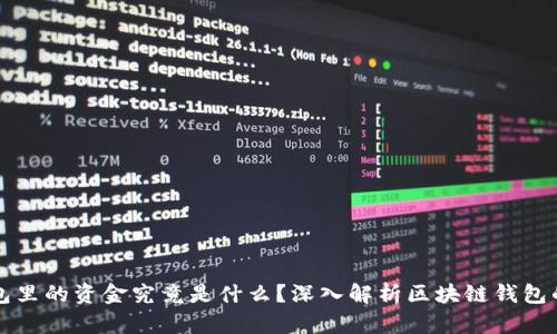 区块链钱包里的资金究竟是什么？深入解析区块链钱包的运作原理