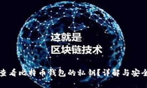 如何查看比特币钱包的私钥？详解与安全指南