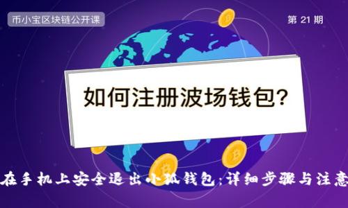 如何在手机上安全退出小狐钱包：详细步骤与注意事项