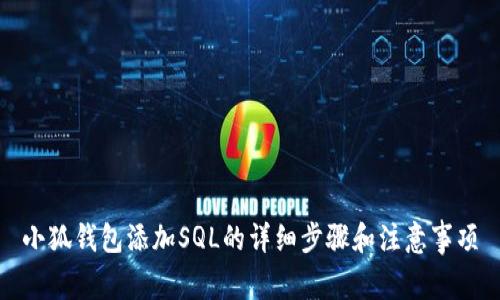 小狐钱包添加SQL的详细步骤和注意事项