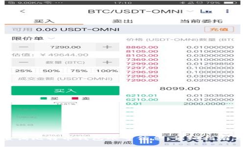 如何查询比特币钱包账号信息：详细指南与步骤