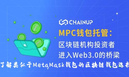 了解类似于MetaMask钱包的区块链钱包选择