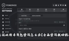 忘记比特币钱包密码怎么办？全面密码找回指南