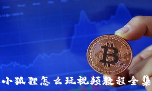   
小狐狸怎么玩视频教程全集